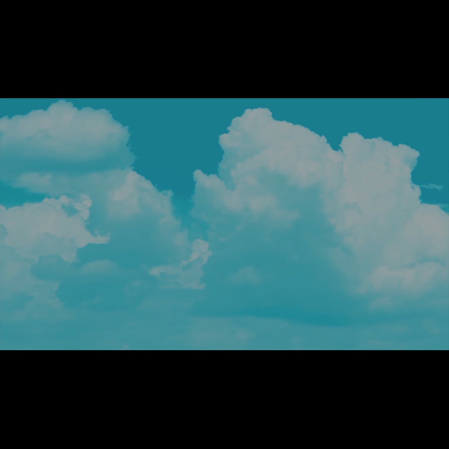 Agency video thumbnail