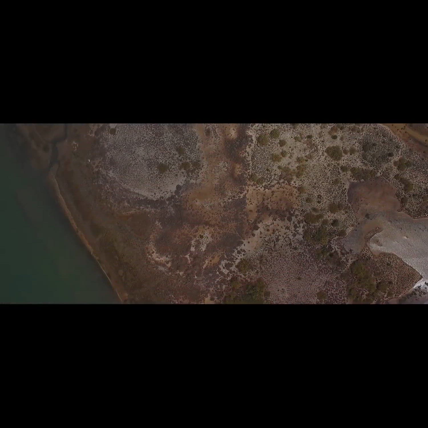Agency video thumbnail