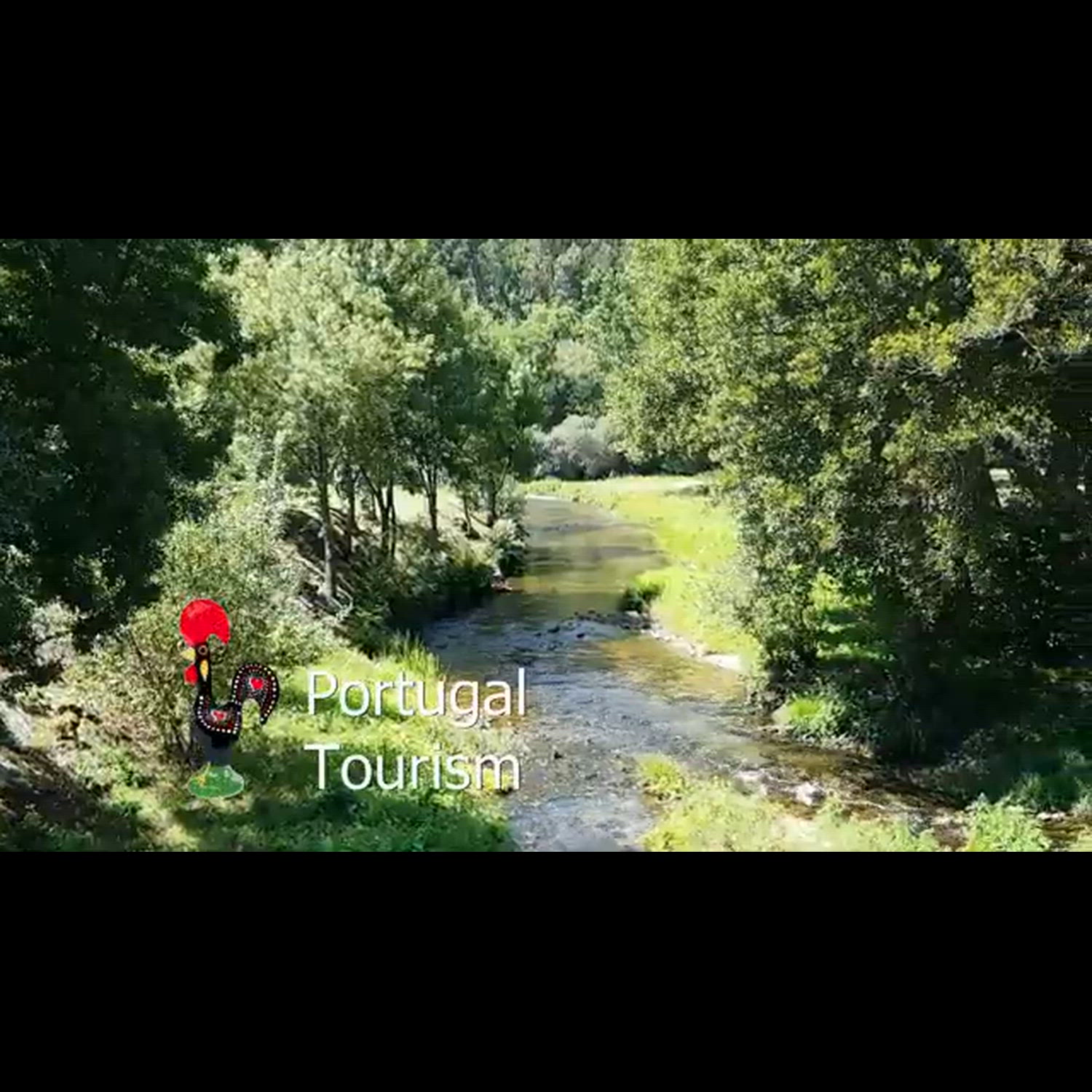 Agency video thumbnail