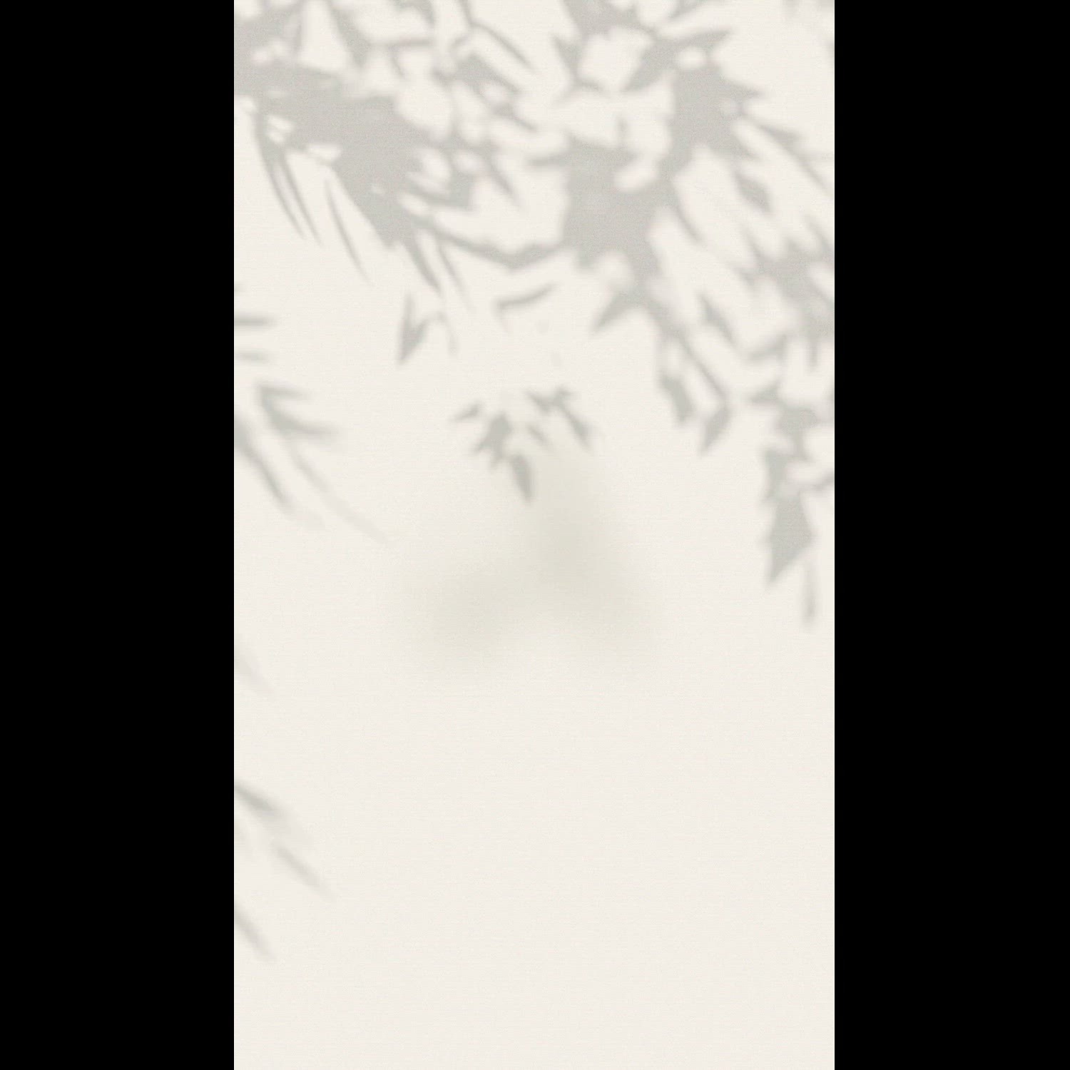 Agency video thumbnail