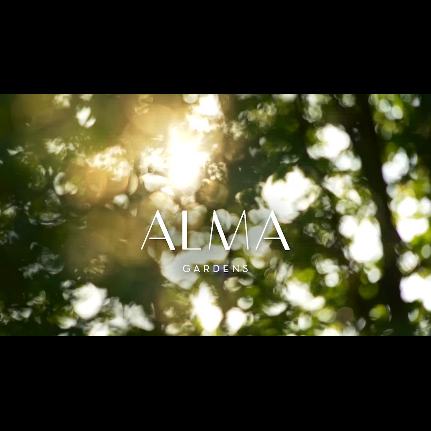 Agency video thumbnail