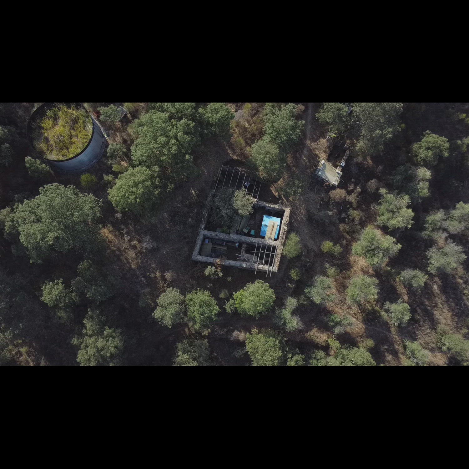 Agency video thumbnail