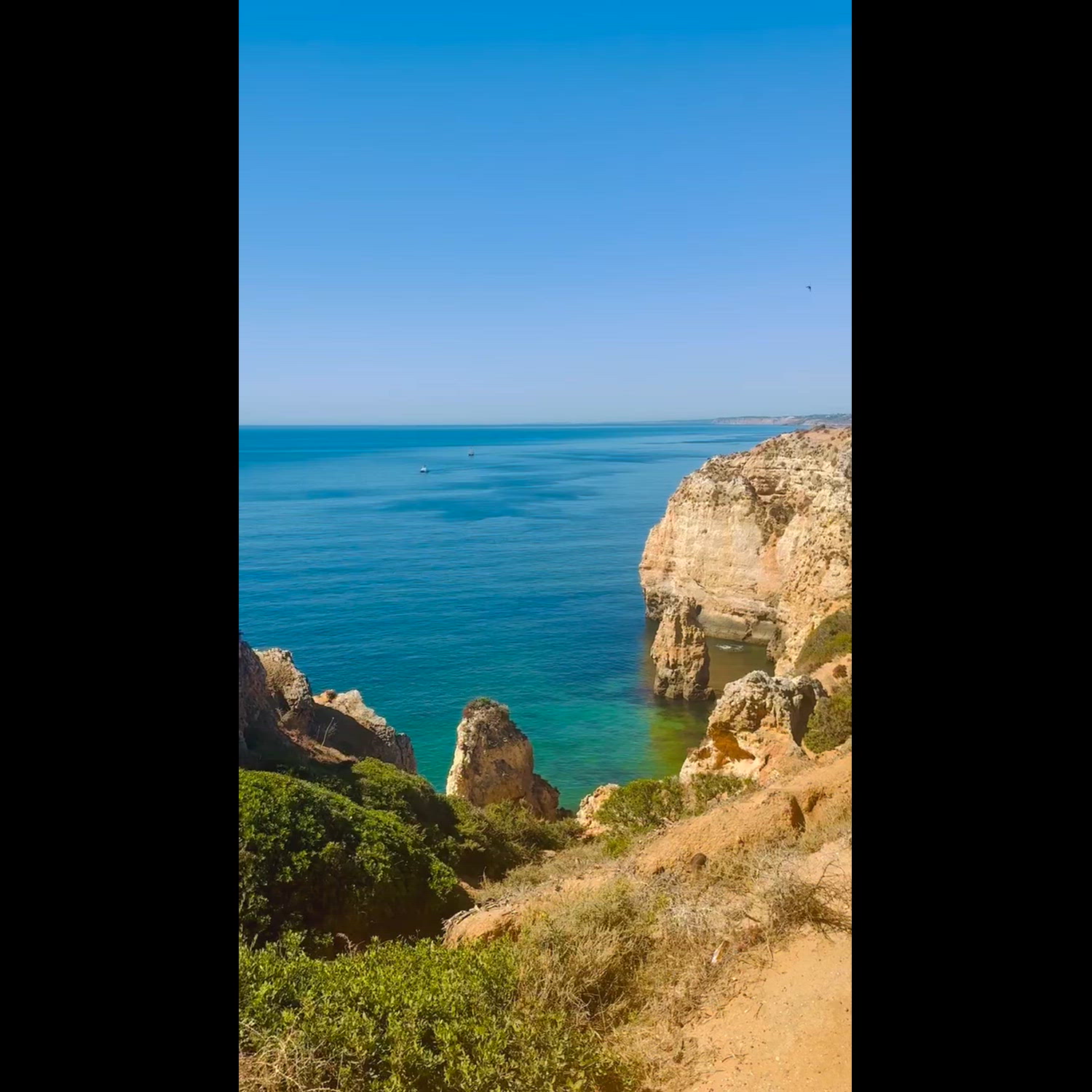 Agency video thumbnail