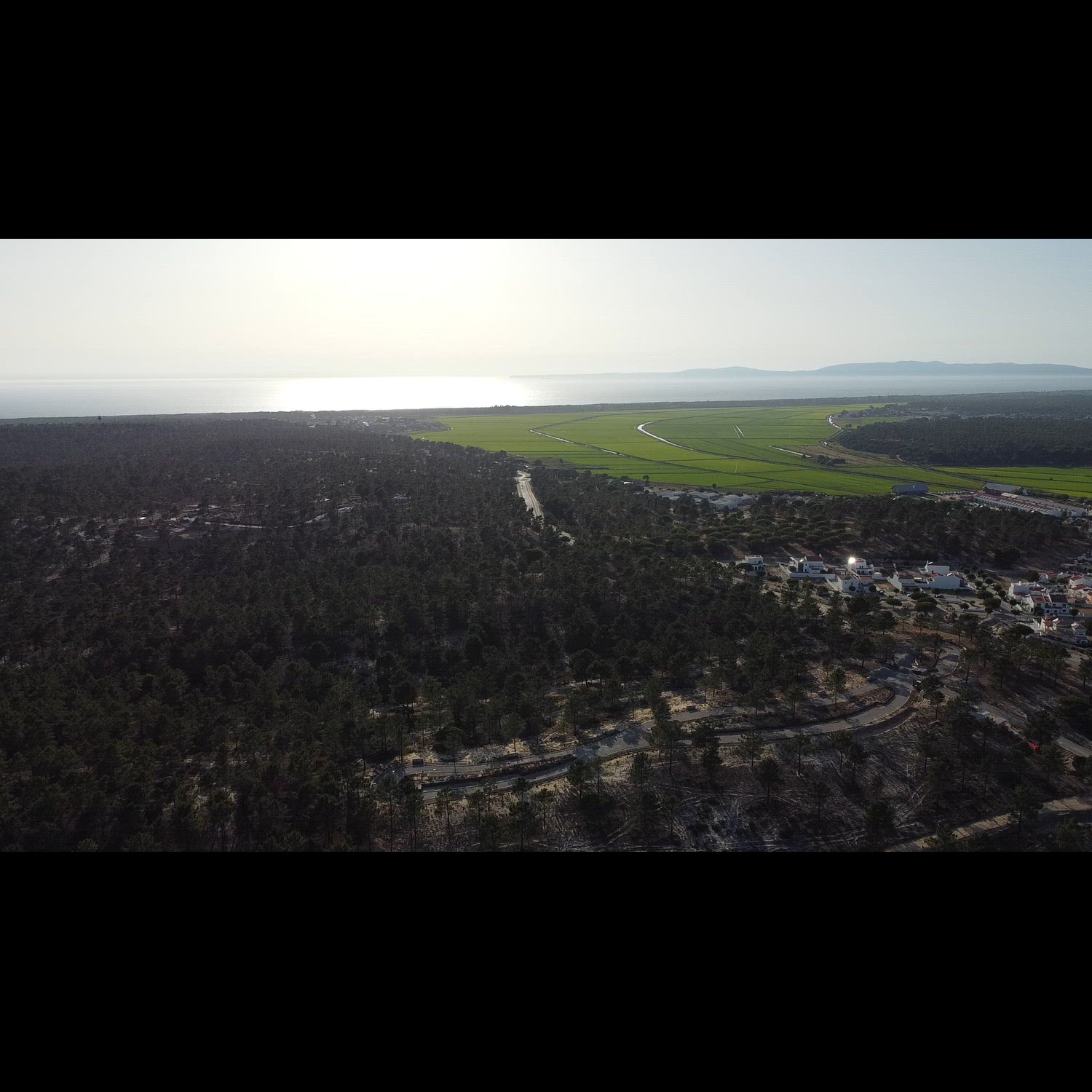 Agency video thumbnail