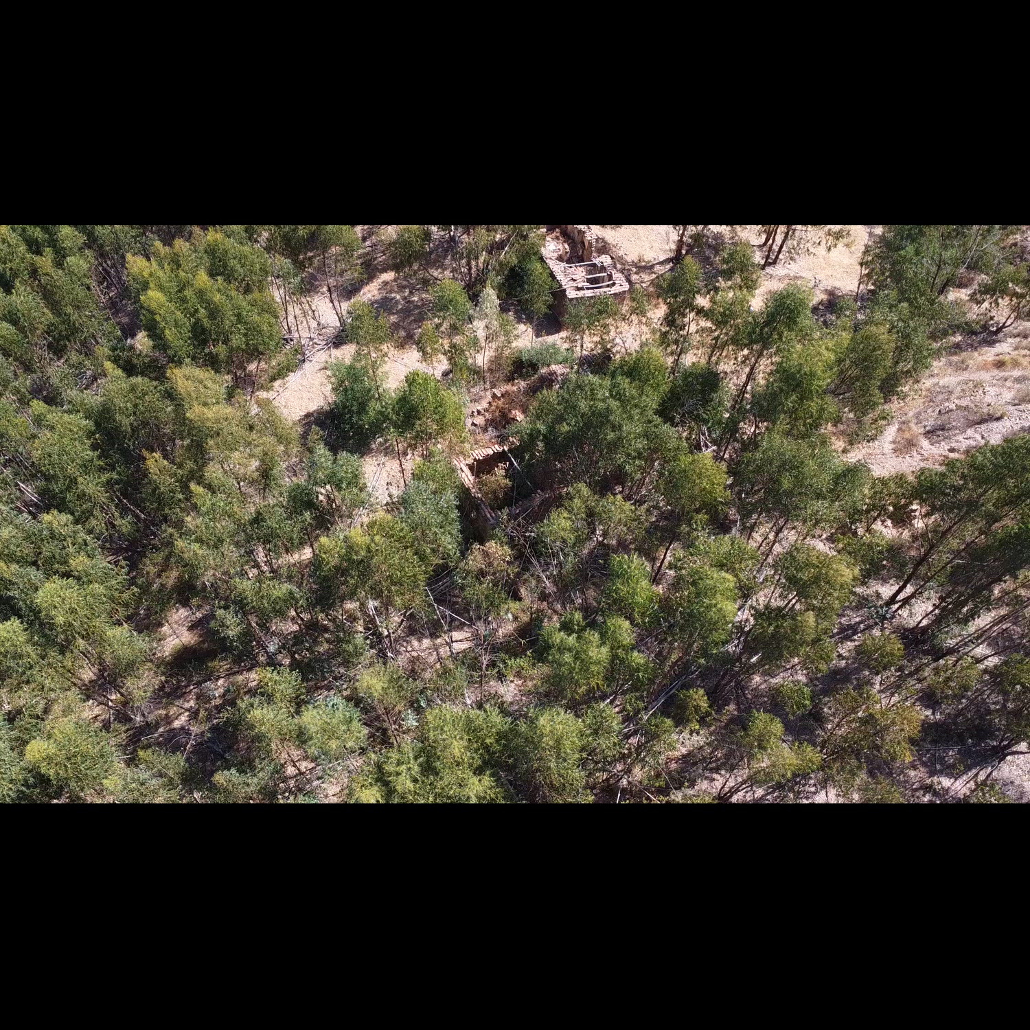 Agency video thumbnail