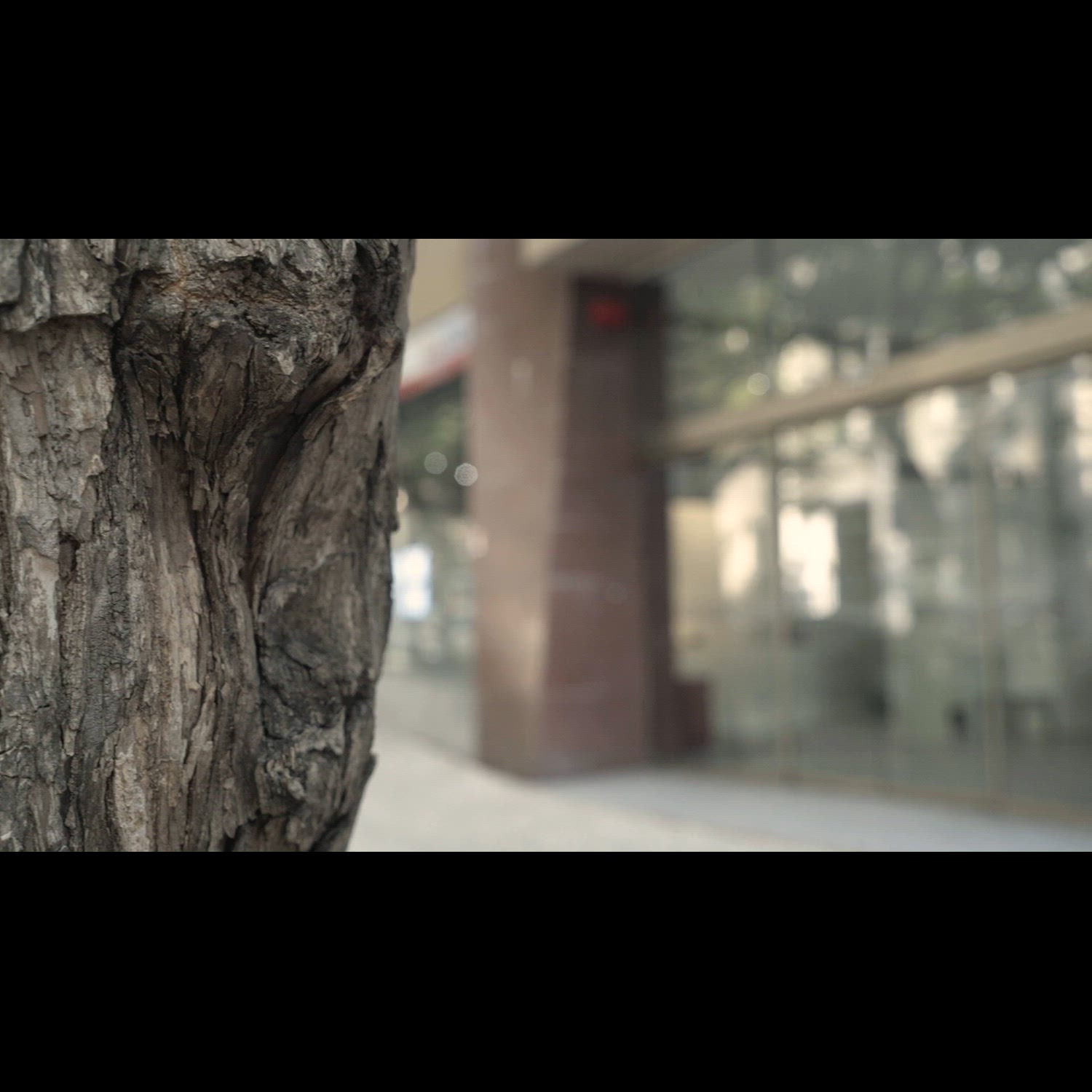 Agency video thumbnail
