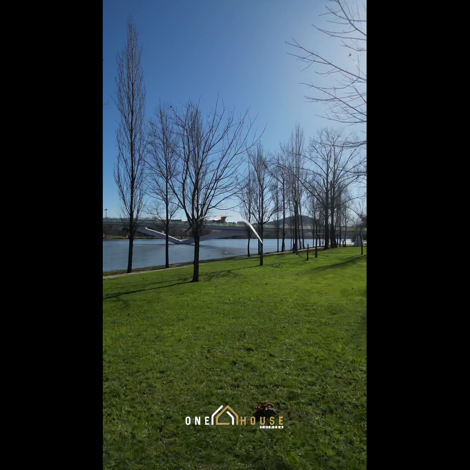 Agency video thumbnail