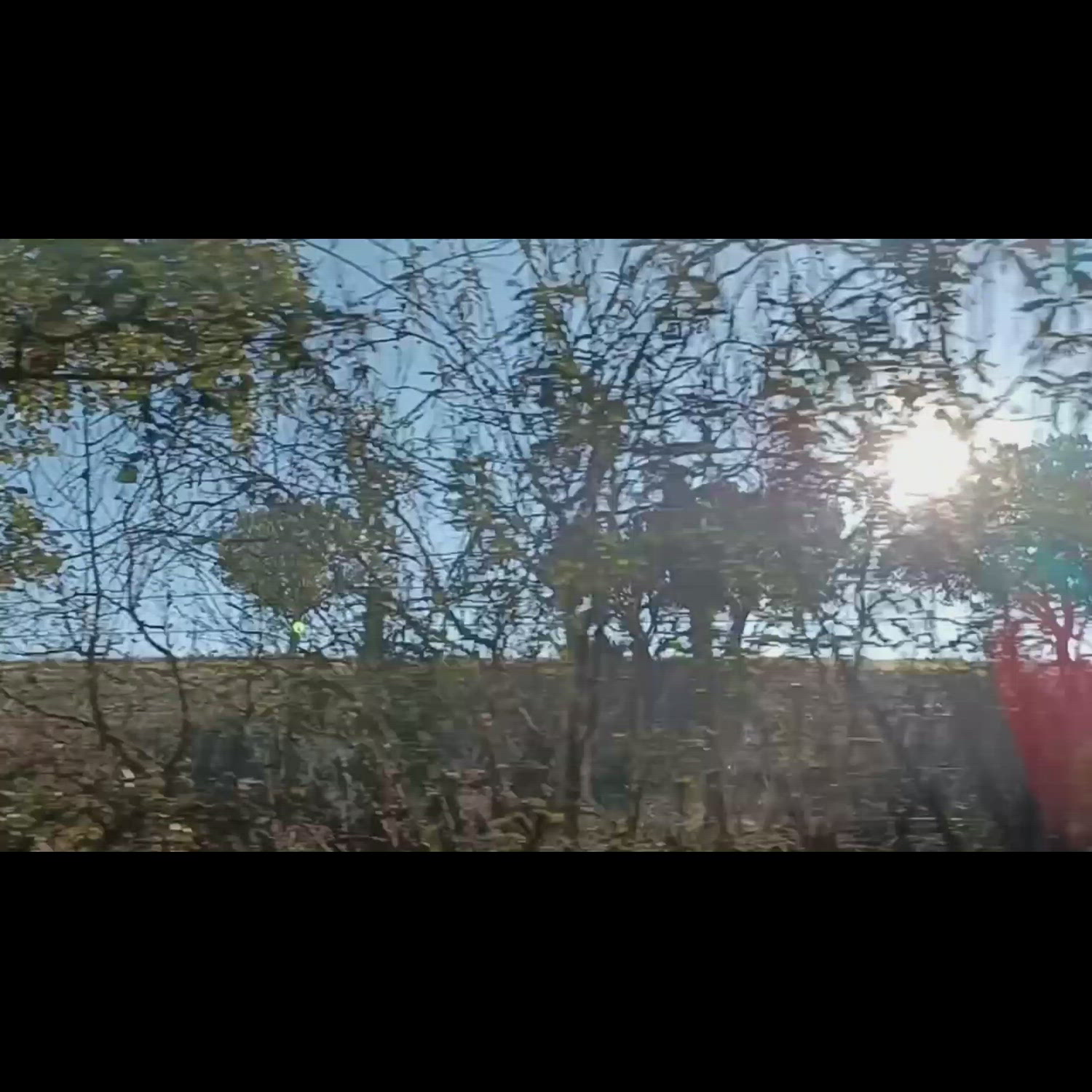Agency video thumbnail