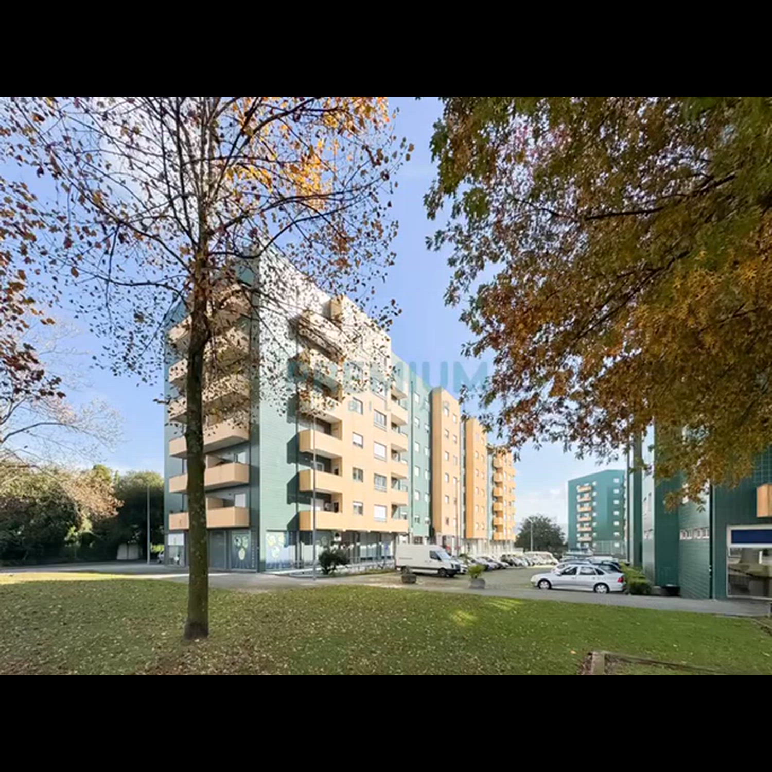 Agency video thumbnail