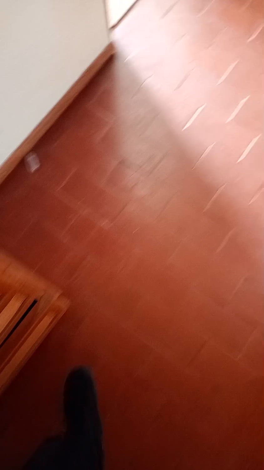 Prima fotografie a proprietății
