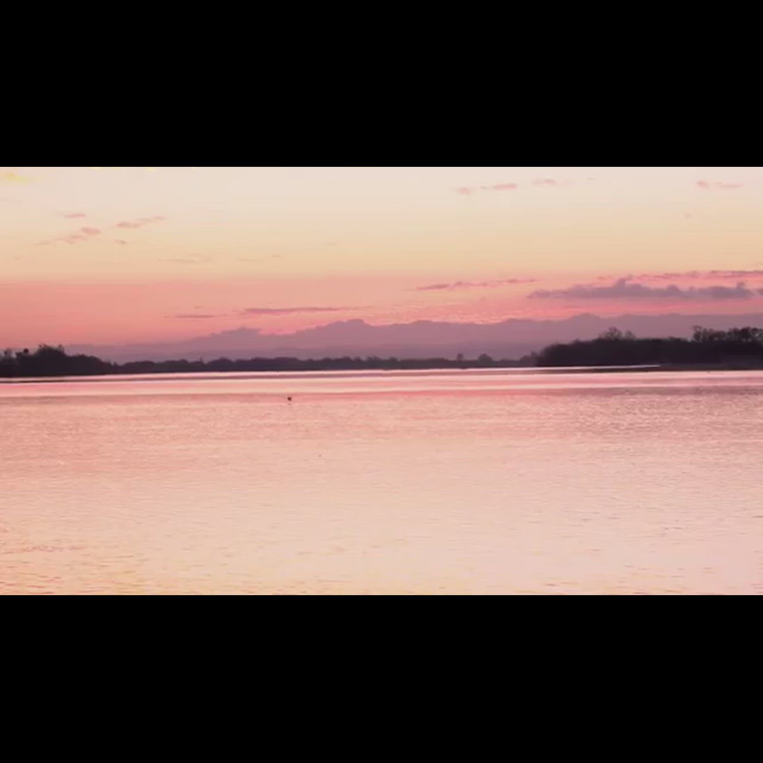 Agency video thumbnail