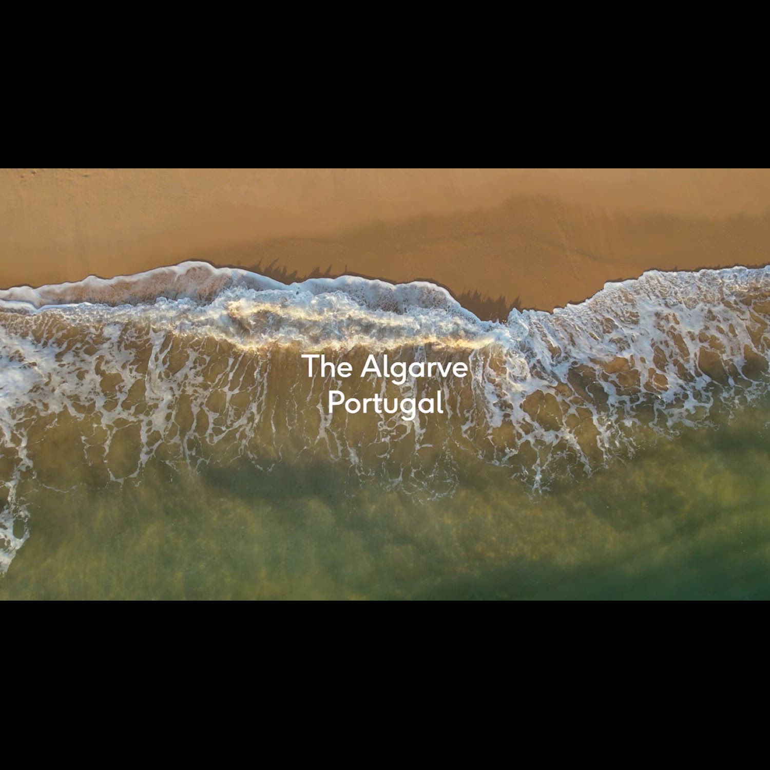Agency video thumbnail